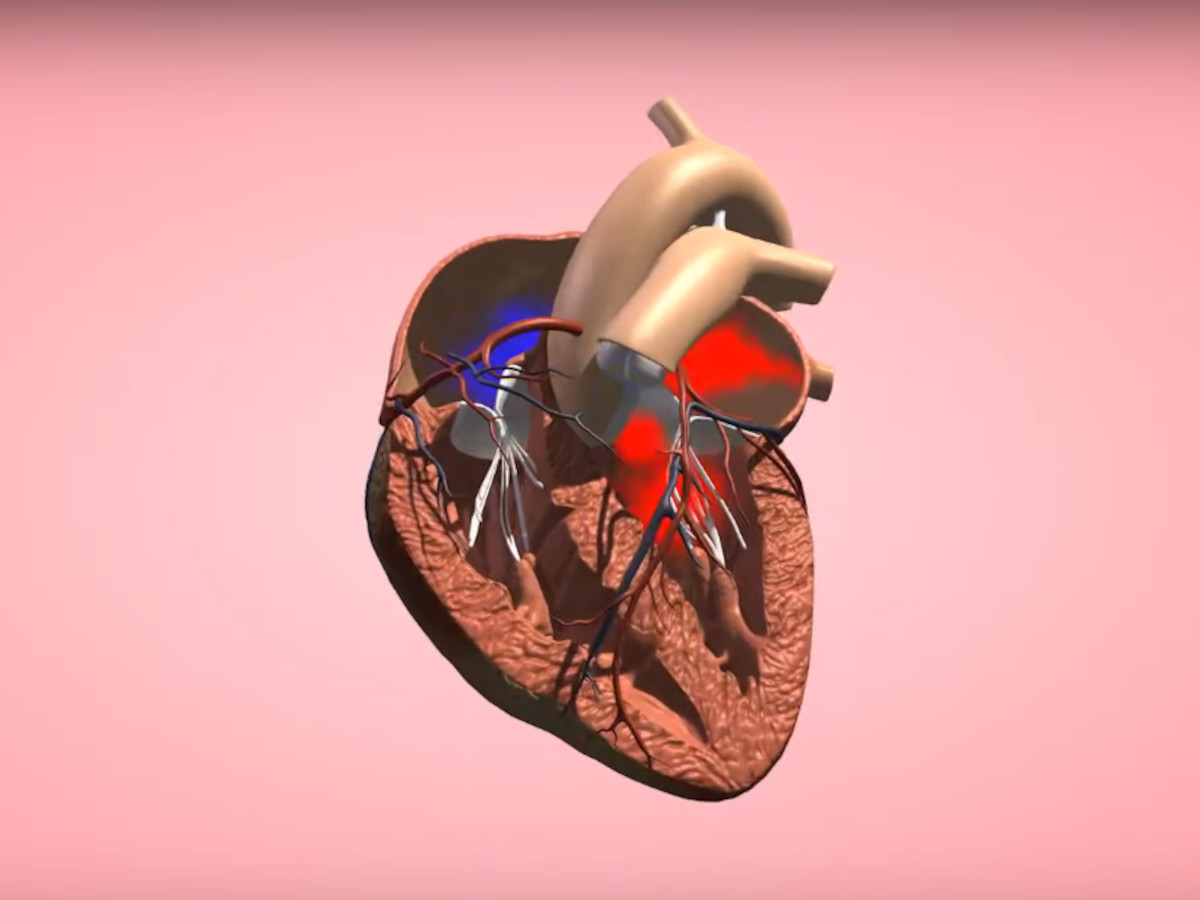 Virtuální realita pro školy, software pro AR (rozšířená realita)/VR (virtuální realita) 