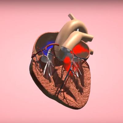 3d Software Pro Zakladni A Stredni Skoly 1