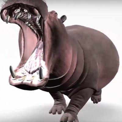 3d Software Pro Zakladni A Stredni Skoly 6