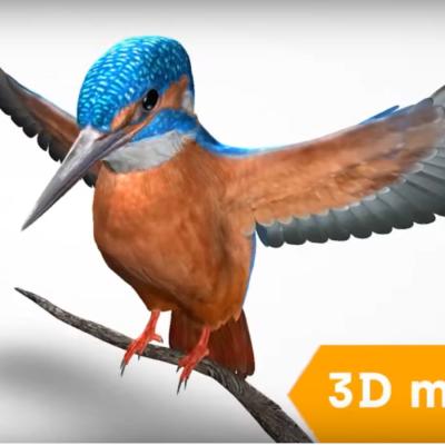 3d Software Pro Zakladni A Stredni Skoly 7